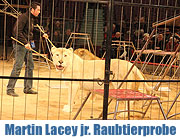 Öffentliche Kommentierte Raubtier-Dressurproben mit Martin Lacey jr. im Kronebau München (©Foto:MartiN Schmitz)